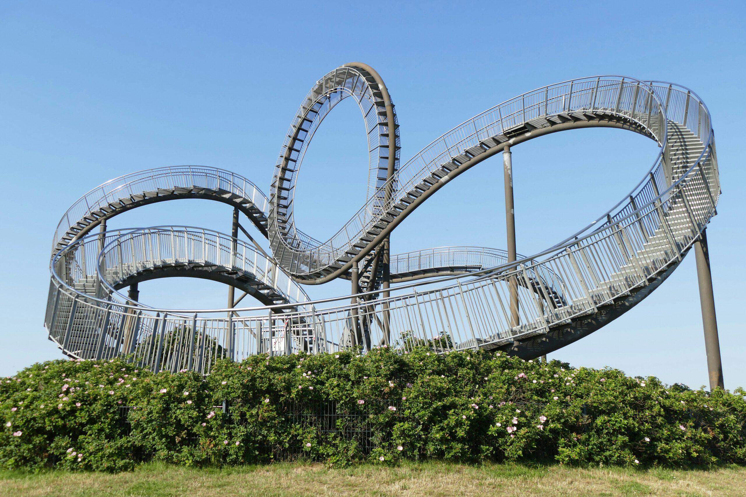white roller coaster on green grass field during daytime